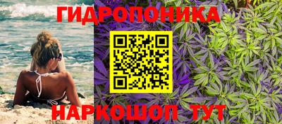 трава Беслан