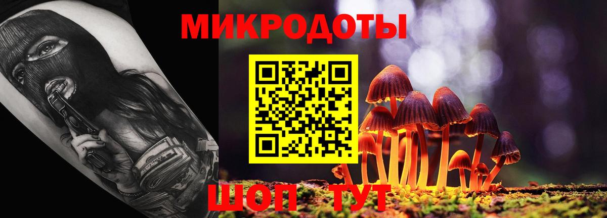 Галлюциногенные грибы прущие грибы Кандалакша